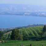 Kinnereth - Sea of Galilee (Panorama)